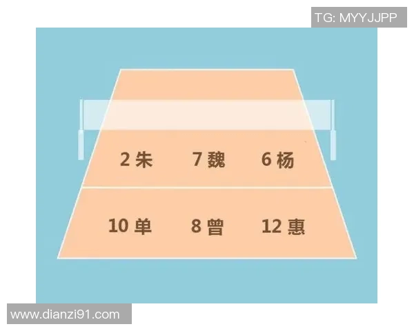 南京排球队反击战术深度解析与实战应用探讨 南京排球队反击战术深度解析与实战应用探讨